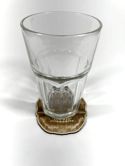 Skull Pumpkin Coaster